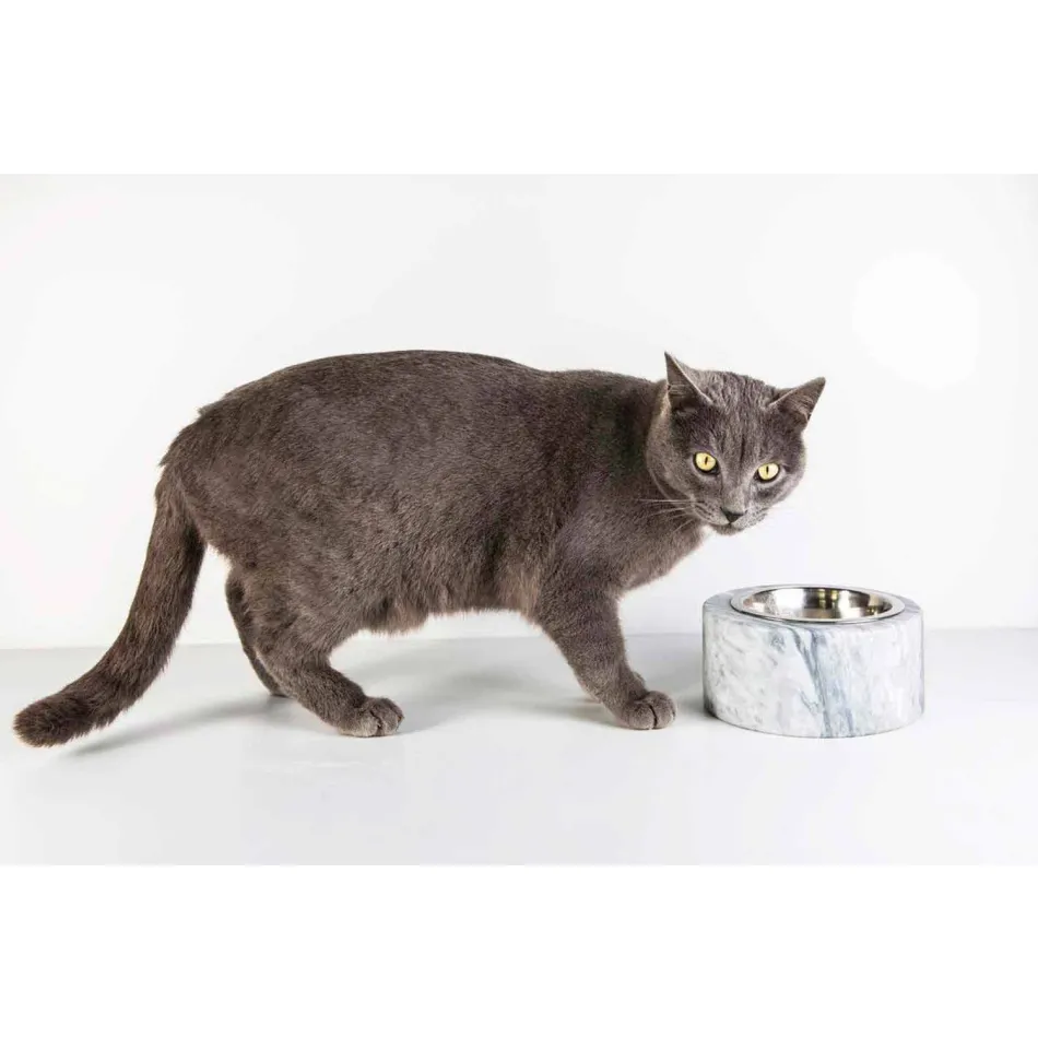 Cuenco para Perros y Gatos en Mármol Blanco Carrara Hecho en Italia - Ciotta viadurini