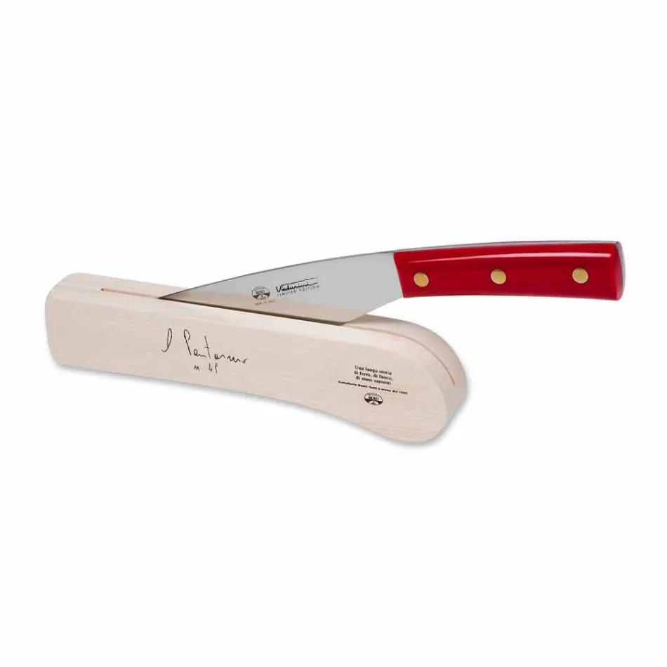 Cuchillo Pontormo de acero inoxidable y bloque Berti en exclusiva para Viadurini - Abano viadurini