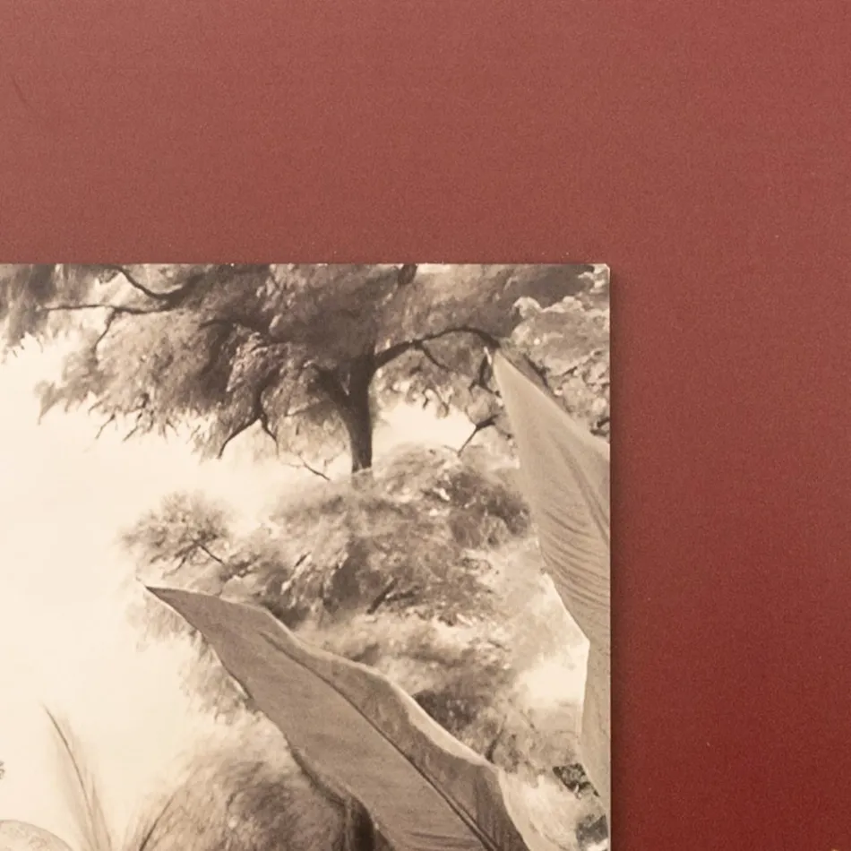 Composición de Cuadros de Madera con Estampado de Elefantes Made in Italy - Patagonia viadurini