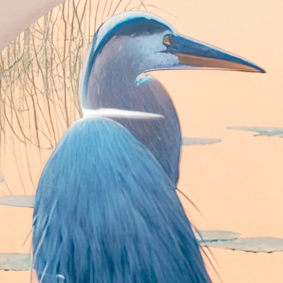 Composición de Cuadros en Madera con Estampado de Aves Made in Italy - Belice viadurini