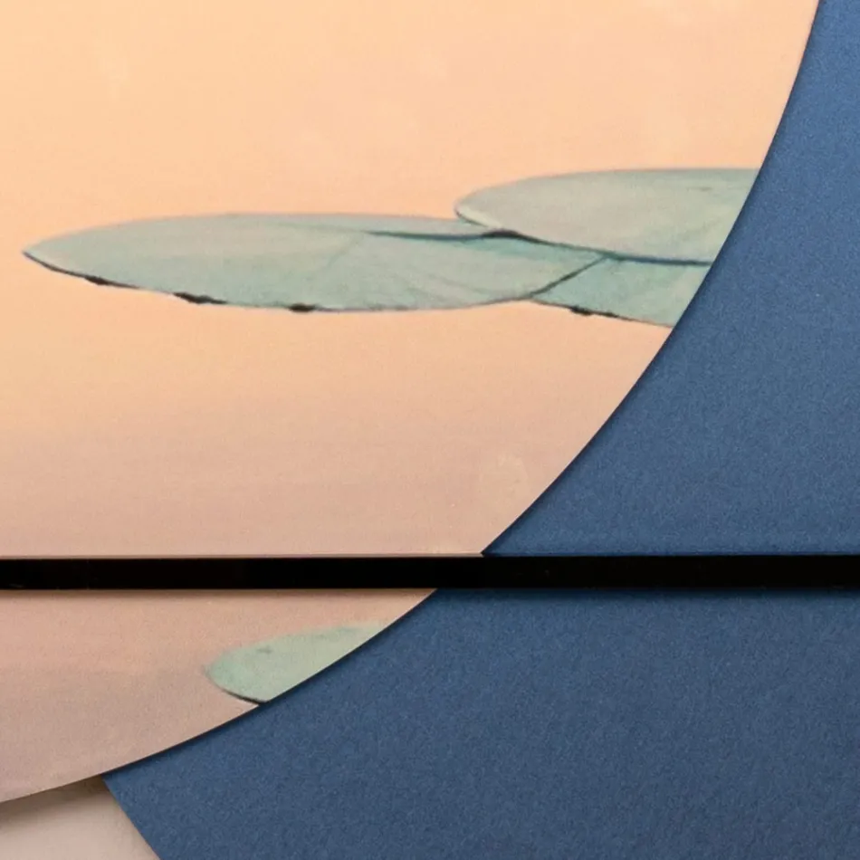 Composición de Cuadros en Madera con Estampado de Aves Made in Italy - Belice viadurini