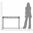 Consola de sala de estar rectangular de estilo moderno en hierro y MDF - Wendell viadurini