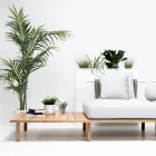 Sofá de 4 plazas en teca, tejido de cuerdas y cojines - Bellatrix viadurini