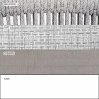 Tela tapizada apilable para exteriores de dos plazas para sofá - Smart by Varaschin viadurini