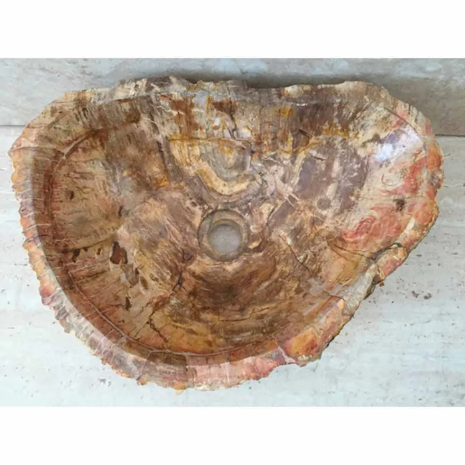 Lavabo de madera fósil del cuarto de baño de la estrella, pedazo único de diseño viadurini