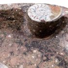 Lavabo sobre encimera de mármol con fósiles - Burgeo viadurini