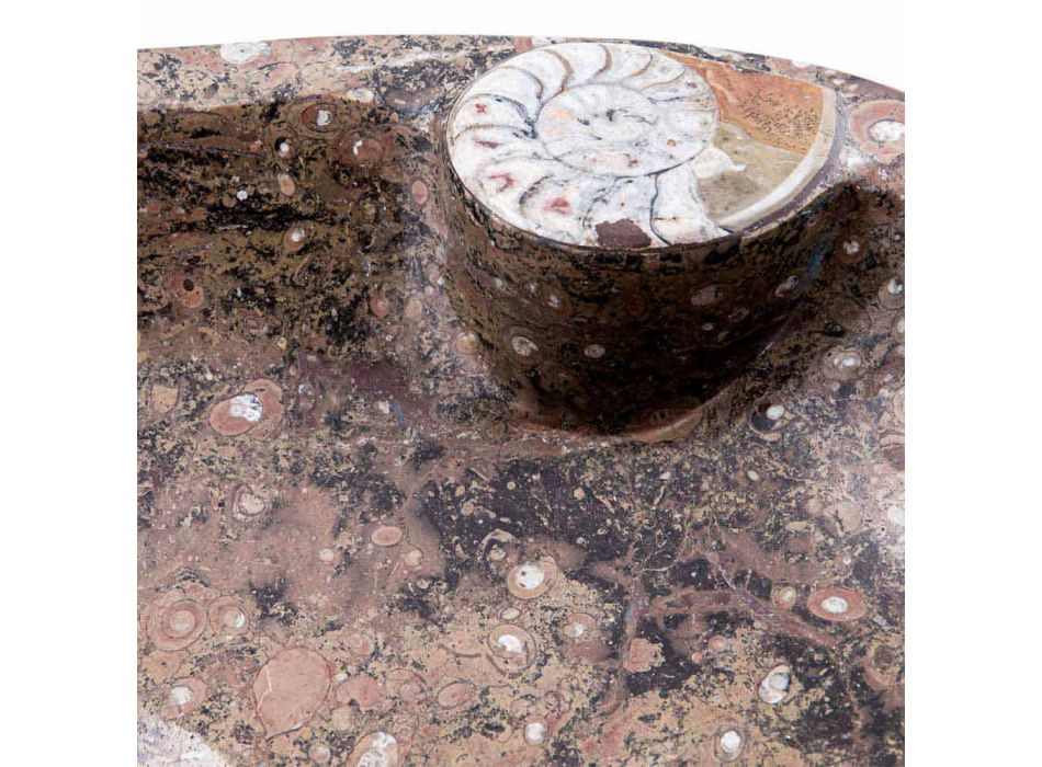 Lavabo sobre encimera de mármol con fósiles - Burgeo viadurini