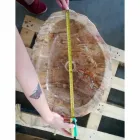 lavabo de madera fósil Contador Goa sola pieza viadurini