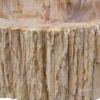 Fregadero encimera de madera fósil Goa sola pieza viadurini