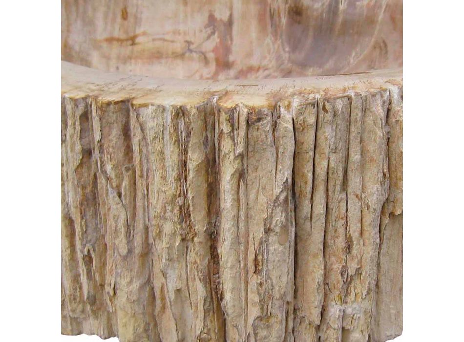 Fregadero encimera de madera fósil Goa sola pieza viadurini