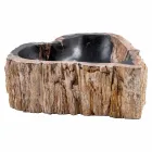 Lavabo de pie de madera fósil, Neirone viadurini