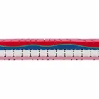 Colchón individual en Memoria de calidad de 25 cm de altura Hecho en Italia - Platino viadurini