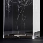 Paragüero de plástico transparente con hojas estilizadas grabadas - Florino viadurini