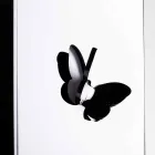 Paragüero de plexiglás negro con grabados y decoraciones en 3D, diseño moderno - Farfo viadurini