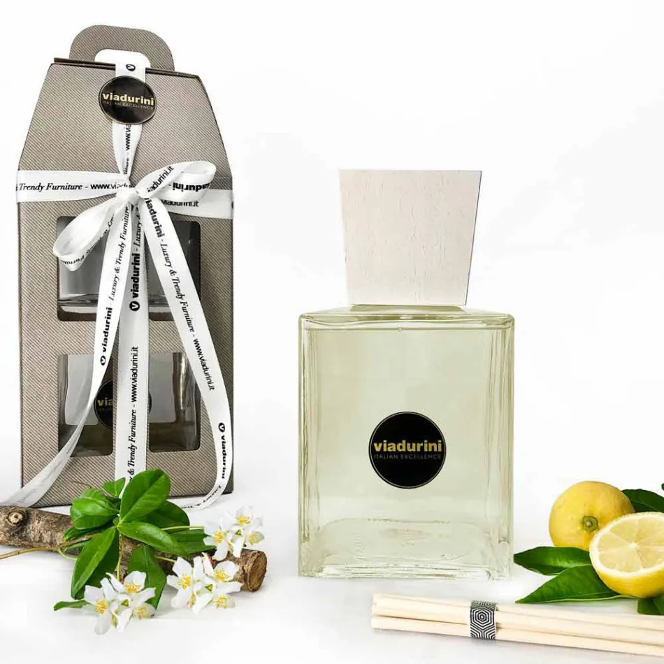 Ambientador de ambiente con fragancia de cuero 2,5 Lt con varillas - Lavecchiavenezia viadurini