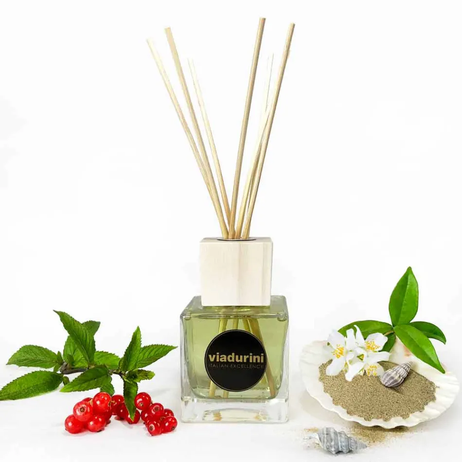 Fragancia Ambient Vainilla y Mou 200 ml con Sticks - Sabbiedelsalento viadurini