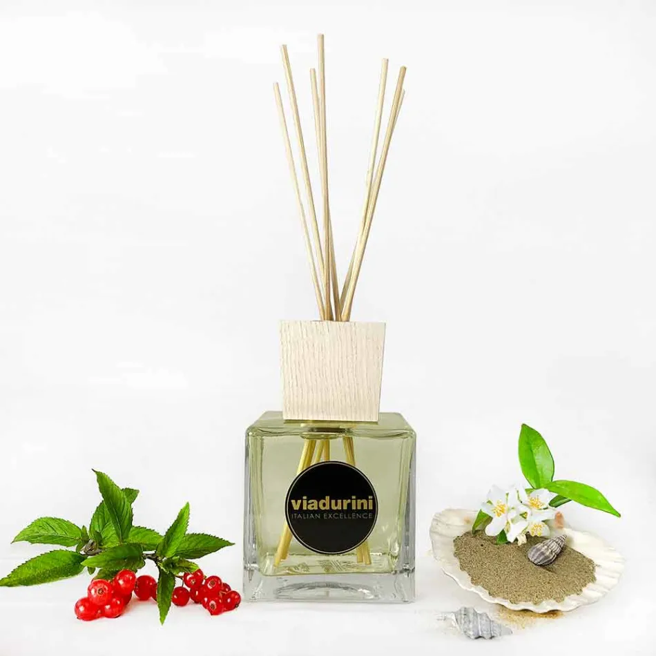 Fragancia de Vainilla y Mou Room 500 ml con Sticks - Sabbiedelsalento viadurini
