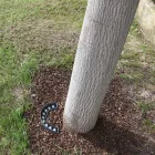 Foco Proyector LED para Exterior de 9W en Aluminio Acabado Negro Mate - Tudor viadurini