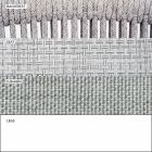 Silla de exterior con reposabrazos apilable tapizado H 78cm - Smart by Varaschin viadurini