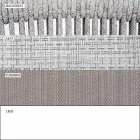 Silla de exterior con reposabrazos apilable tapizado H 78cm - Smart by Varaschin viadurini