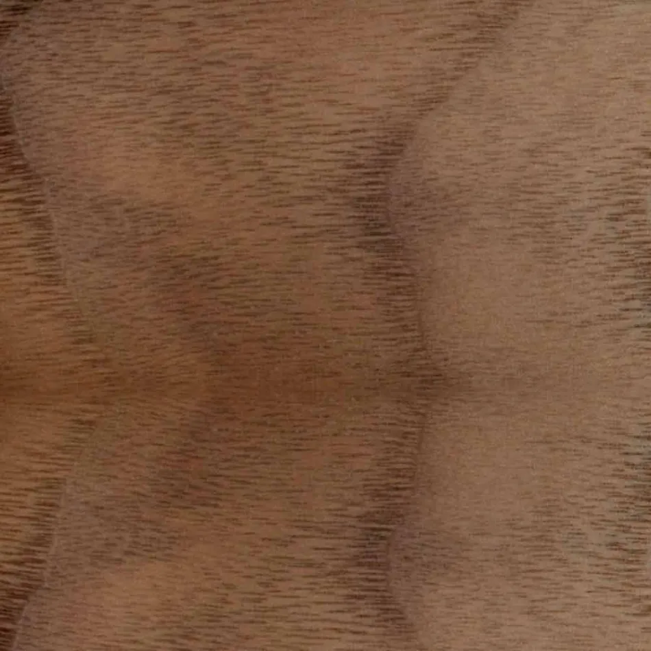 Silla tapizada con base de madera de roble Made in Italy - Sebastian viadurini