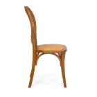 Silla de salón apilable en madera de Ailando y paja de Viena - Laguna viadurini