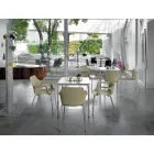 Silla apilable de metal y polipropileno Made in Italy, 4 piezas - Caramelo viadurini