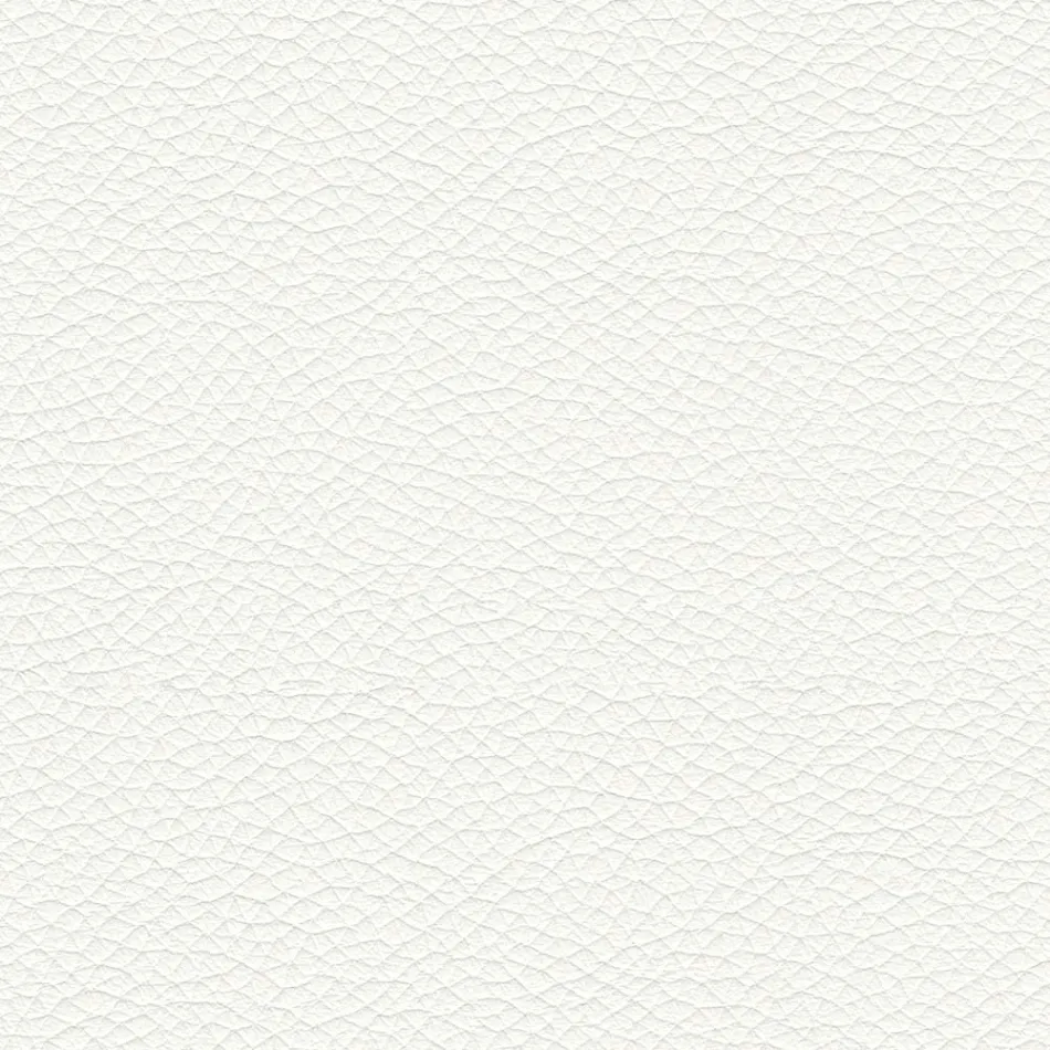 Silla de comedor con asiento tapizado en cuero Made in Italy - Giulia viadurini