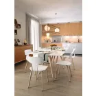 Sillas de comedor Made in Italy de madera y polipropileno, 2 piezas - Trébol viadurini