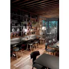 Sillas de comedor Made in Italy de madera y polipropileno, 2 piezas - Trébol viadurini