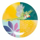 Servicio de vajilla de porcelana y gres de diseño coloreado de 18 piezas - Tropycale viadurini