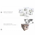 Set 2 sillas infantiles Loriblanche Made in Italy viadurini