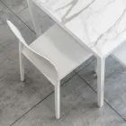 Juego de 4 Sillas de Exterior e Interior en Polipropileno de Diferentes Colores - Construido viadurini