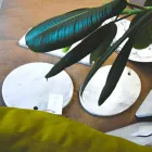 Tabla de cortar de mármol blanco de Carrara de diseño redondo Made in Italy - Masha viadurini