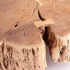 Mesa de centro Homemotion con tablero en forma de madera de acacia - Nabucco viadurini