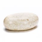 Mesa de centro ovalada de piedra fósil blanca - Alfred viadurini