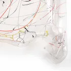 Moderna mesa de centro de plexiglás multicolor hecha en Italia, Asia viadurini