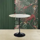 Mesa de centro Tulip Saarinen Alt. 52 con tablero ovalado de mármol dorado Caracatta Made in Italy - Escarlata viadurini