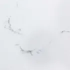 Mesa de comedor extensible de 240 cm con tapa de vidrio y cerámica - Barone viadurini