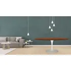 Eero Saarinen Mesa Tulip H 73 Ovalada en Roble Teñido Nogal Oscuro Made in Italy - Escarlata viadurini
