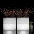 Jarrón luminoso para exteriores en dos colores, fabricado en Italia en polietileno - Lambo