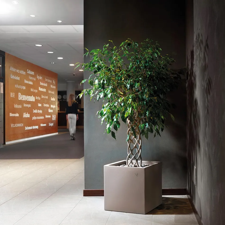 Florero en Polietileno Coloreado Forma Cúbica Made in Italy - Tonello viadurini