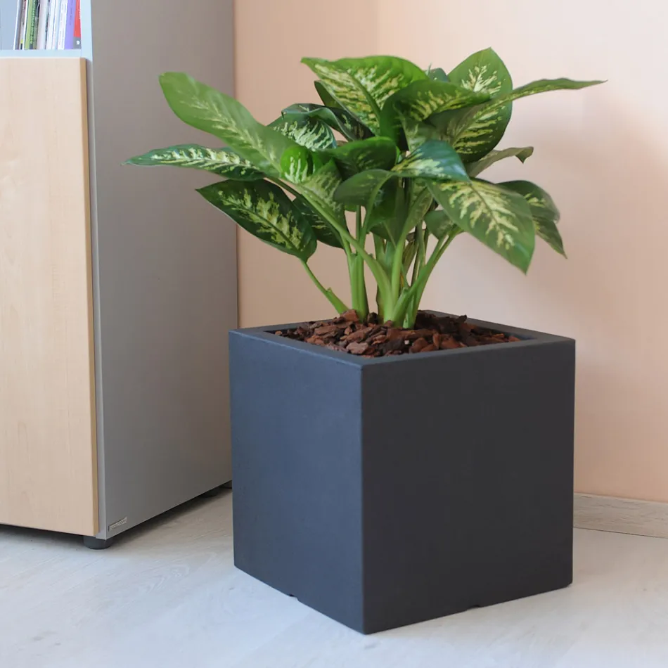 Maceta o Biombo Cuadrado Tres Colores Made in Italy - Plants viadurini