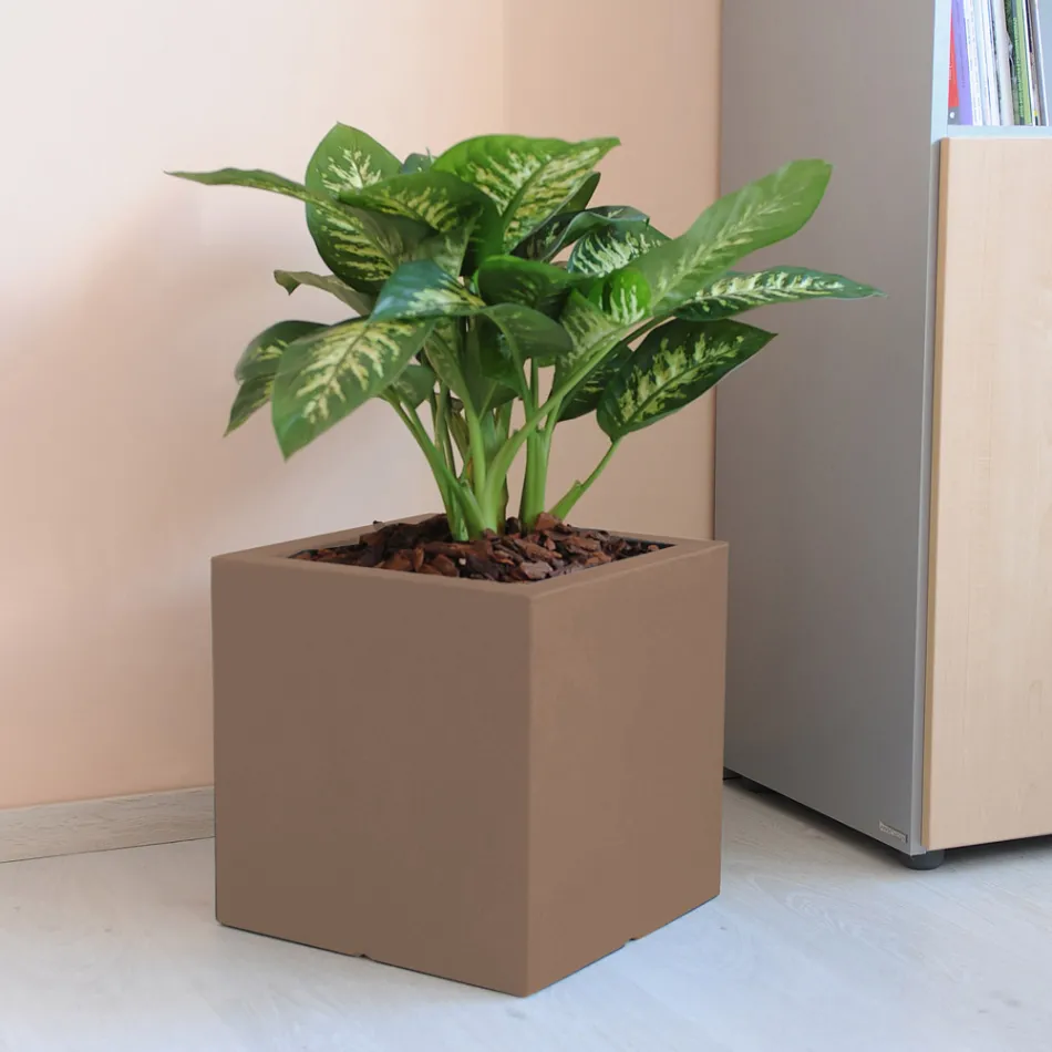 Maceta o Biombo Cuadrado Tres Colores Made in Italy - Plants viadurini