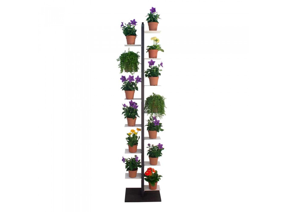 Columna tía flora ornamental viadurini